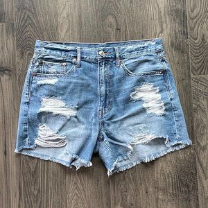 American Eagle 90s Boyfriend Short 6